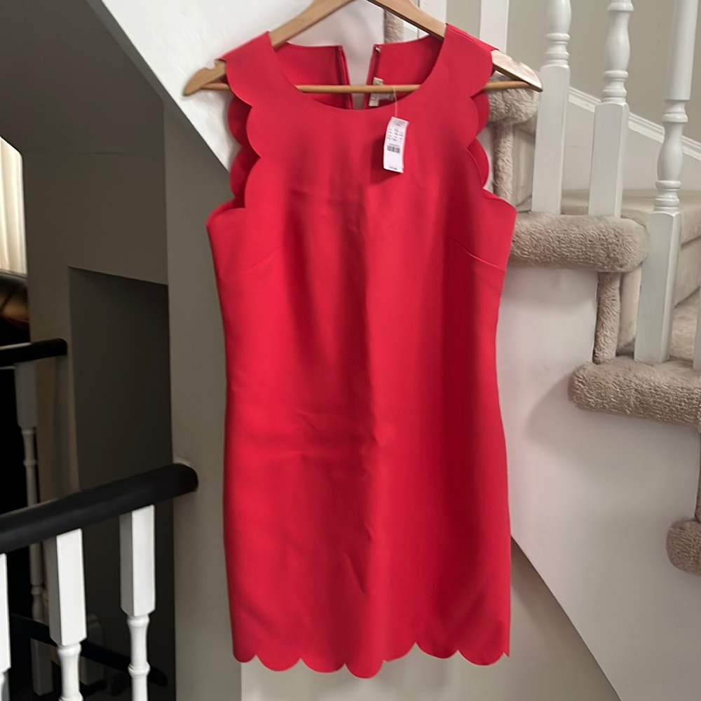 Beautiful J. Crew Coral Scalloped Dress Size 2